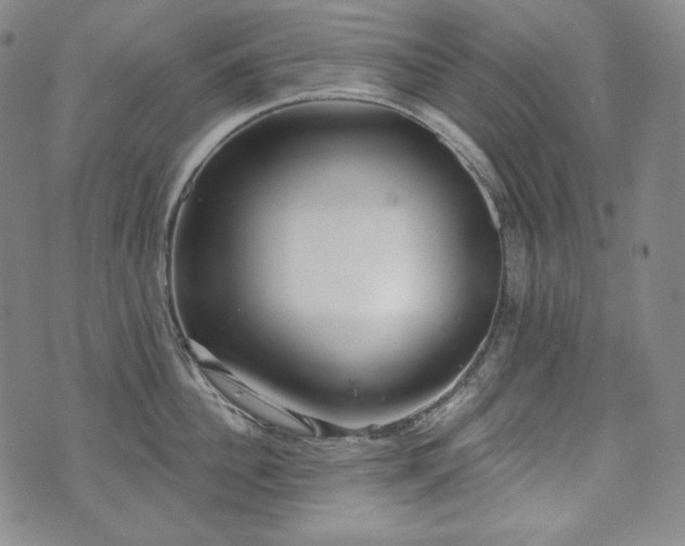 X0000071960956200607141431