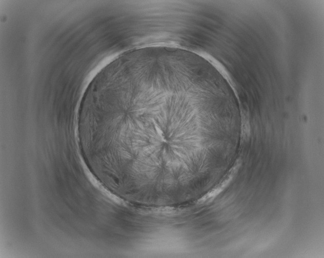 X0000071960957200607141431