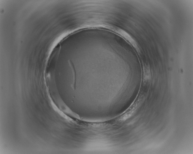 X0000071960958200607141431