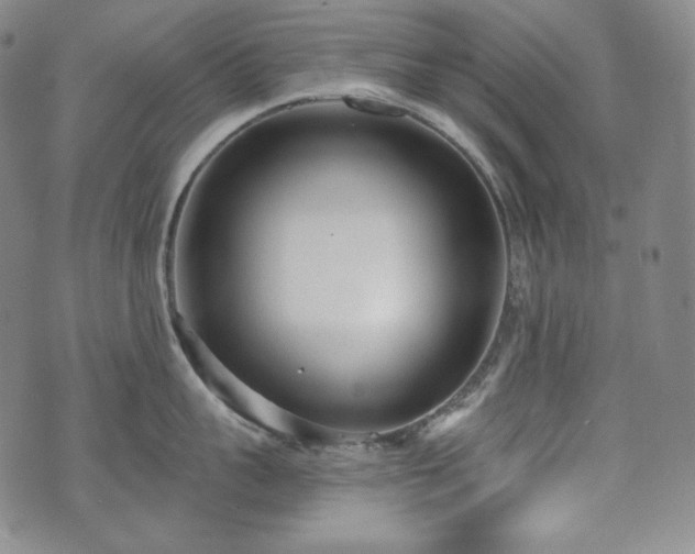 X0000071960959200607141431