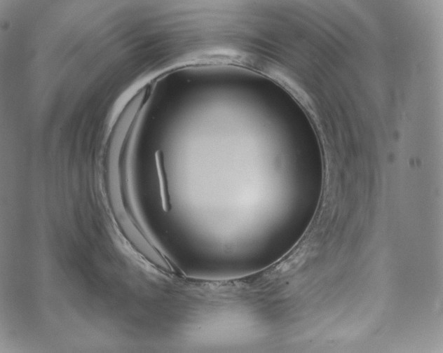 X0000071960960200607141431