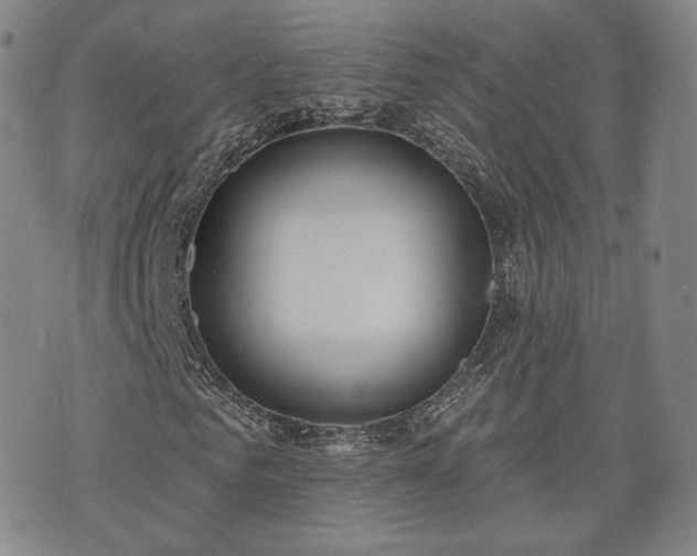 X0000071960961200607141430