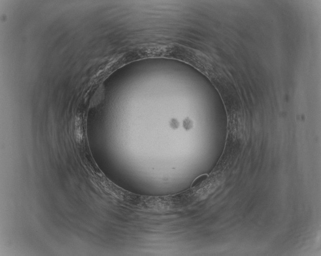 X0000071960962200607141430