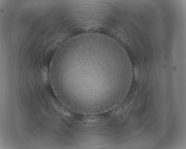 X0000071960963200607141430