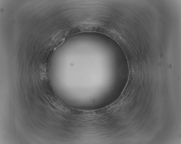 X0000071960964200607141430