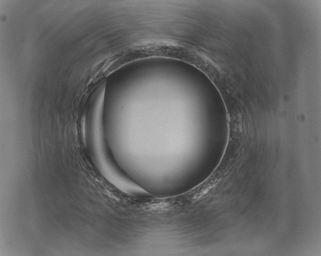 X0000071960965200607141430