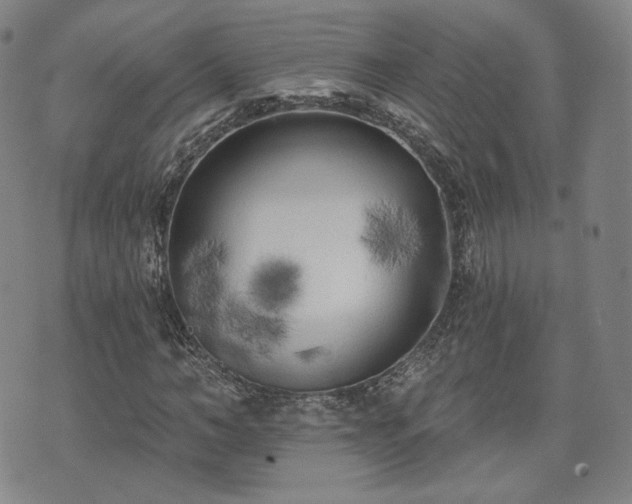 X0000071960966200607141430