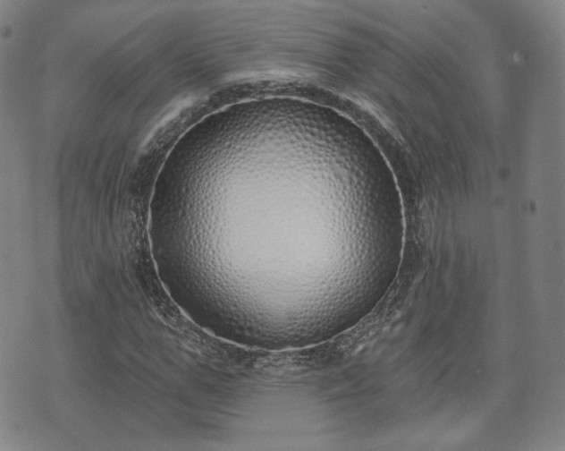 X0000071960967200607141430