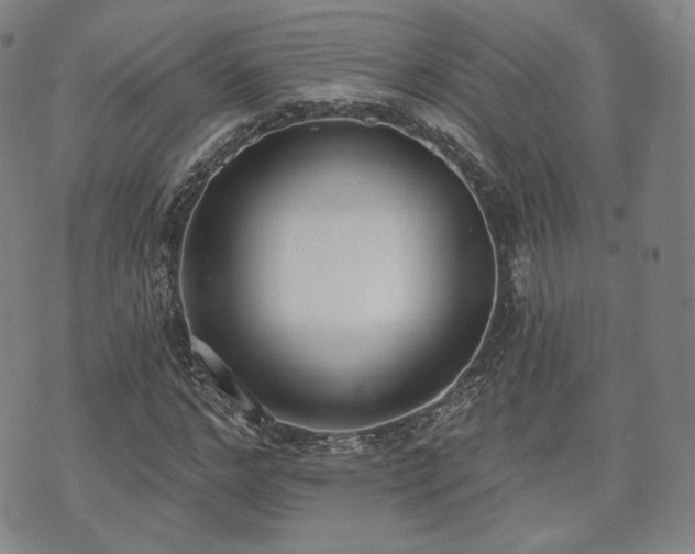 X0000071960968200607141430