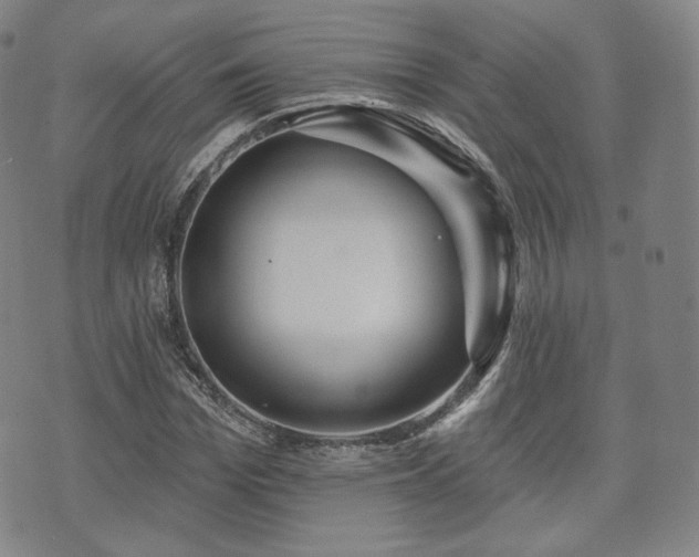 X0000071960969200607141430