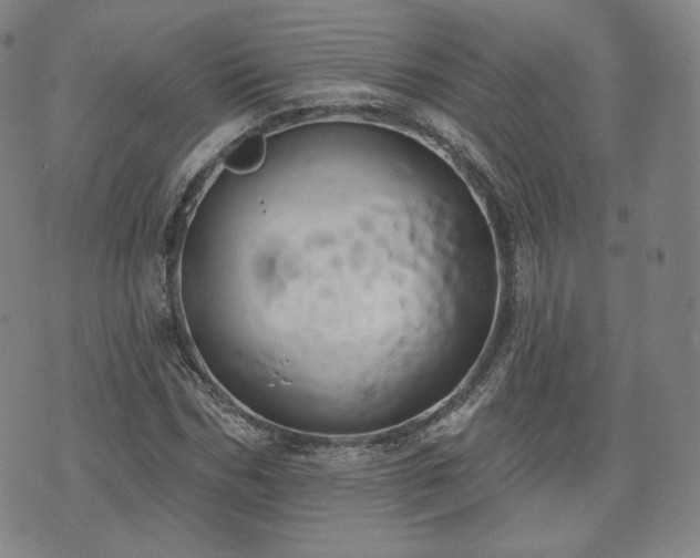 X0000071960970200607141430