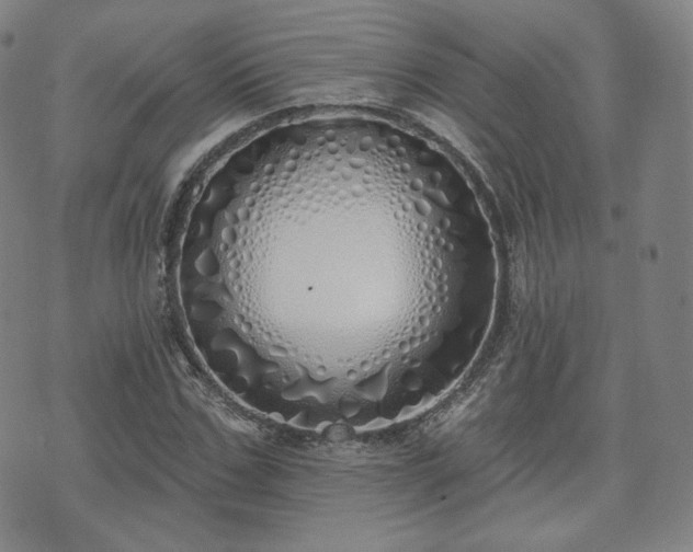 X0000071960971200607141430