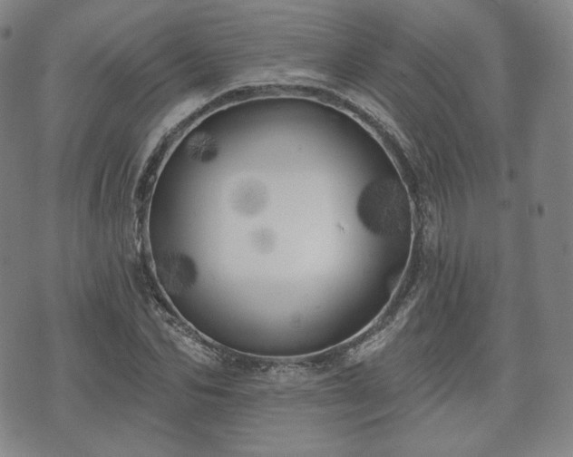 X0000071960974200607141430