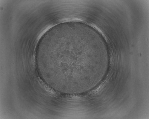 X0000071960975200607141430