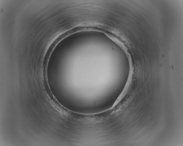 X0000071960976200607141430