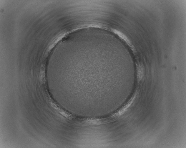 X0000071960977200607141430