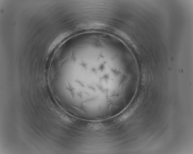 X0000071960978200607141430