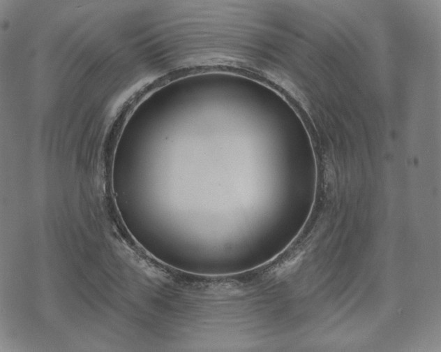 X0000071960979200607141430