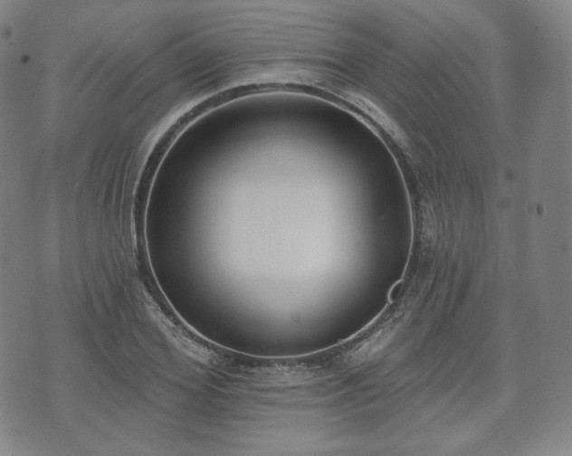 X0000071960980200607141430