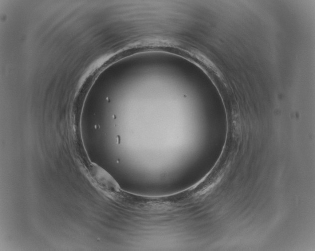 X0000071960981200607141430