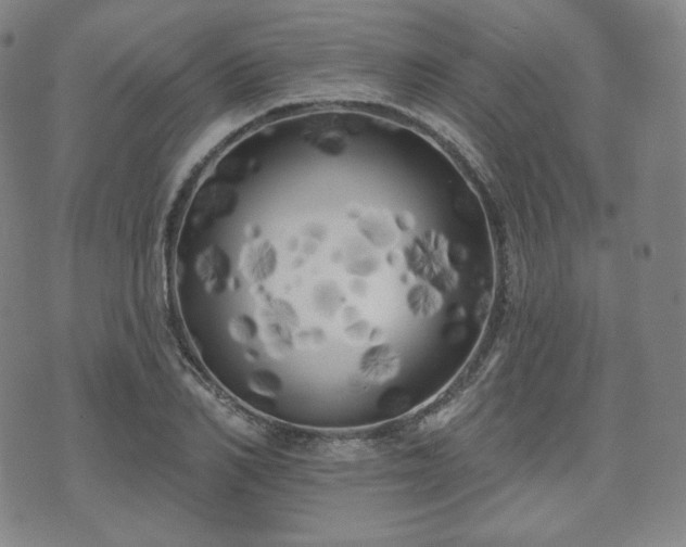 X0000071960982200607141430