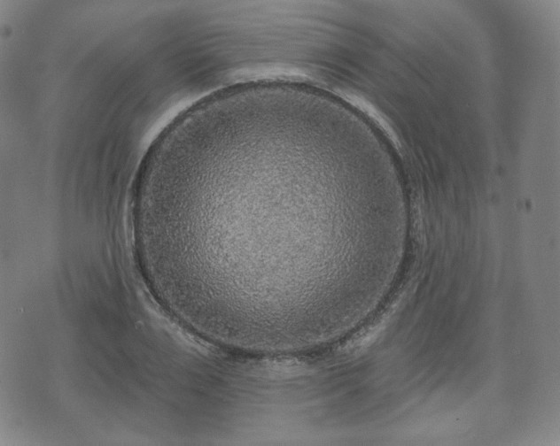 X0000071960983200607141430