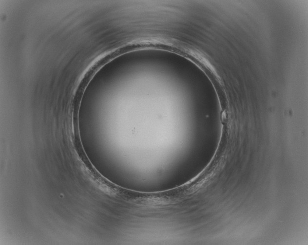 X0000071960984200607141430