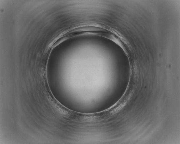 X0000071960985200607141430