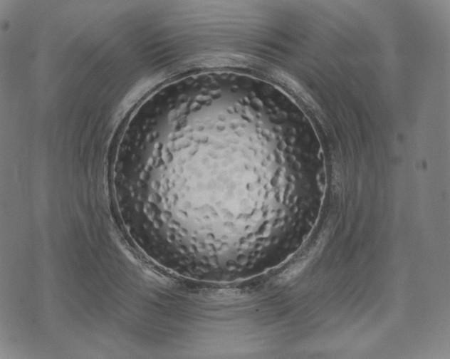 X0000071960986200607141430