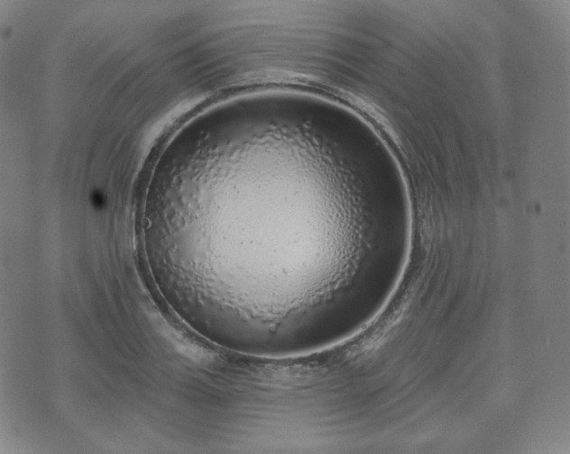 X0000071960987200607141430