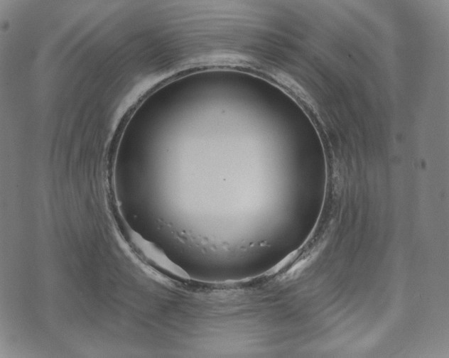 X0000071960989200607141430