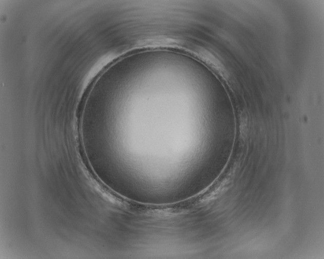 X0000071960990200607141430