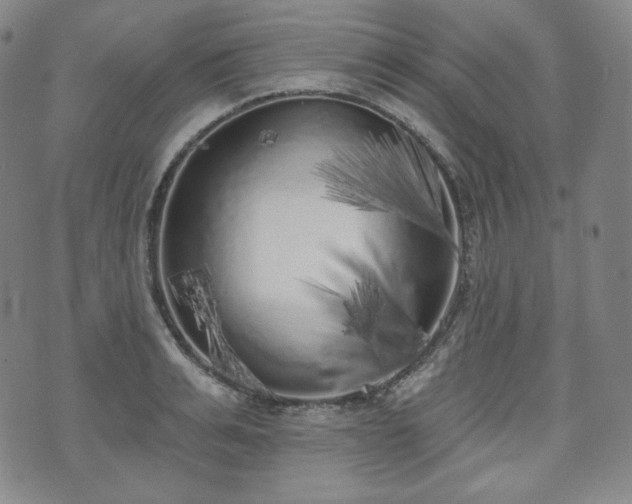 X0000071960991200607141430