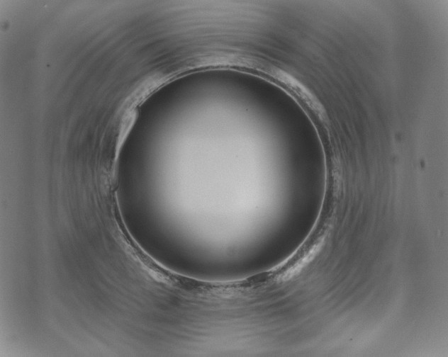 X0000071960993200607141430