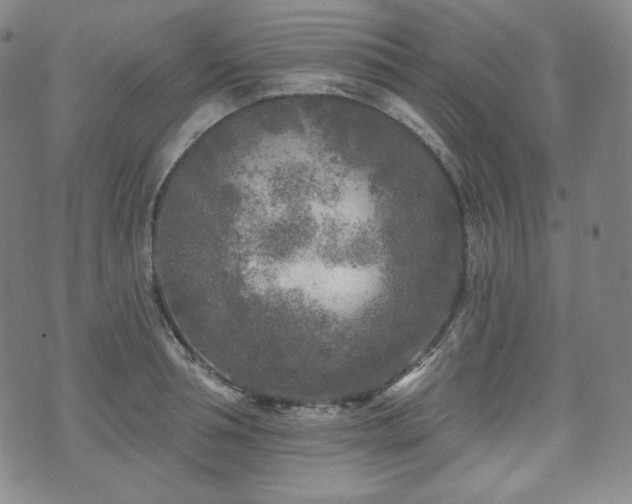 X0000071960994200607141430