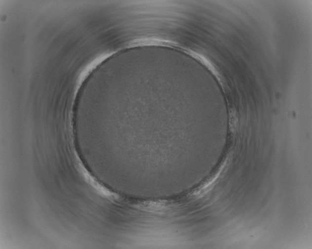 X0000071960995200607141430