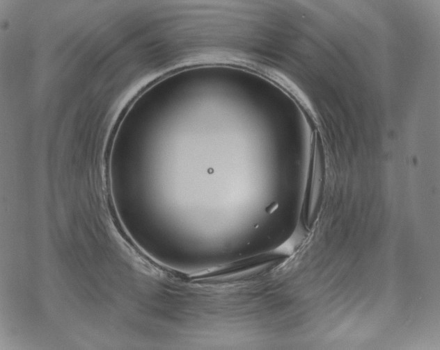 X0000071960996200607141430