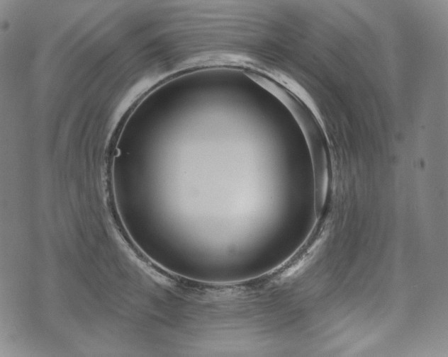 X0000071960997200607141430