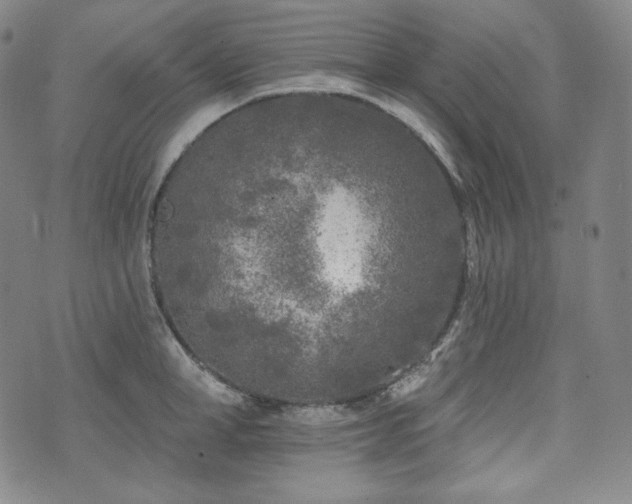 X0000071960998200607141430