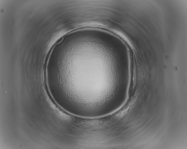 X0000071960999200607141430