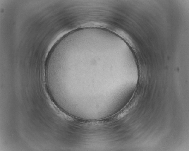 X0000071961000200607141430