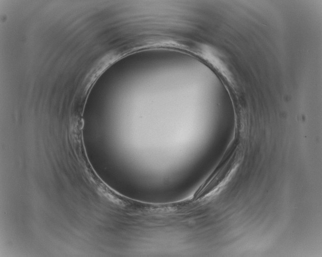 X0000071961001200607141430