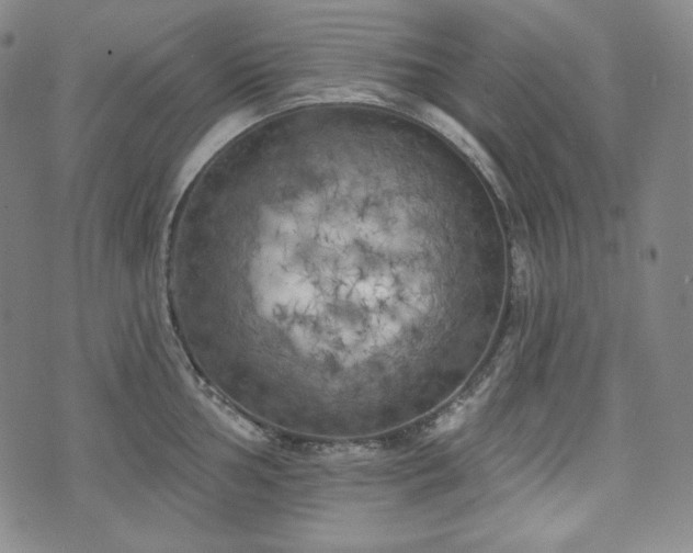 X0000071961002200607141430