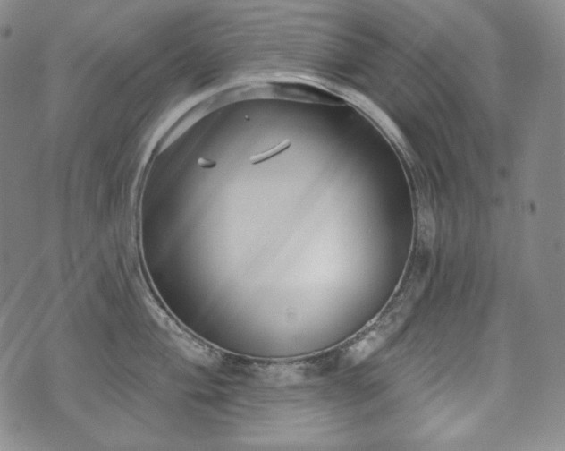 X0000071961004200607141430