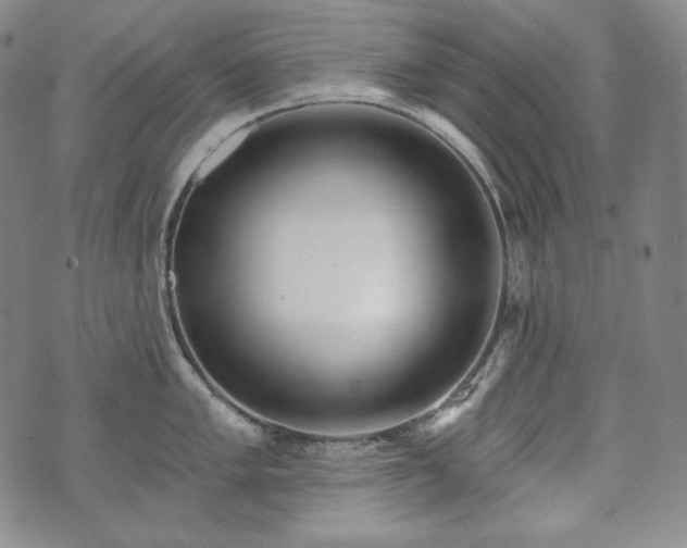 X0000071961005200607141430