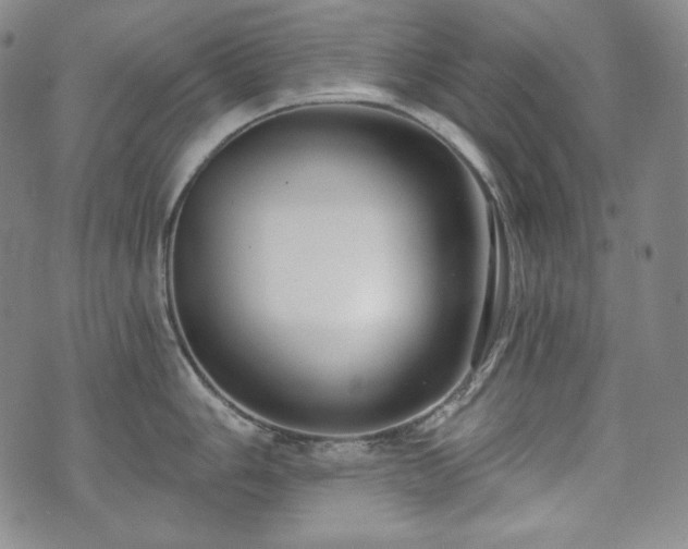 X0000071961006200607141430