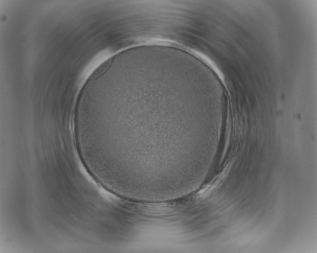 X0000071961007200607141430