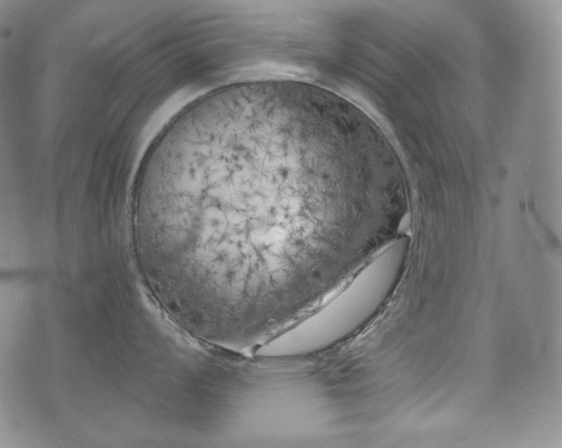 X0000071961008200607141429