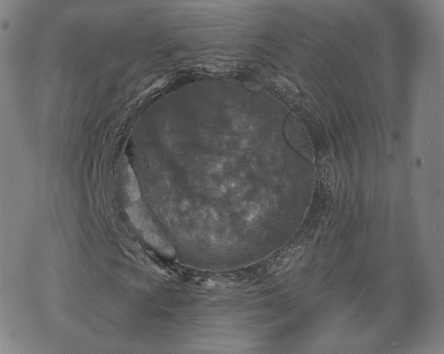 X0000071961009200607141429