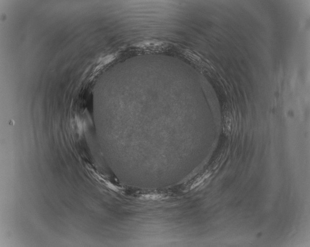 X0000071961010200607141429